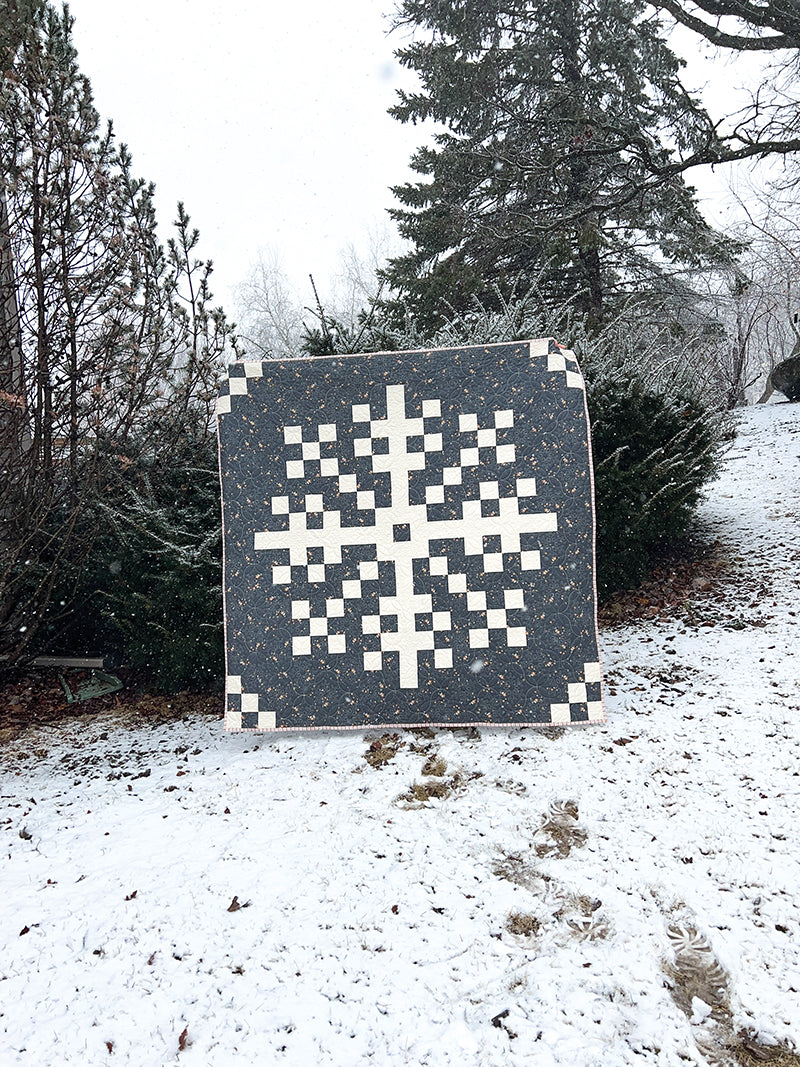 Cozy Quilts for the Modern Home Book