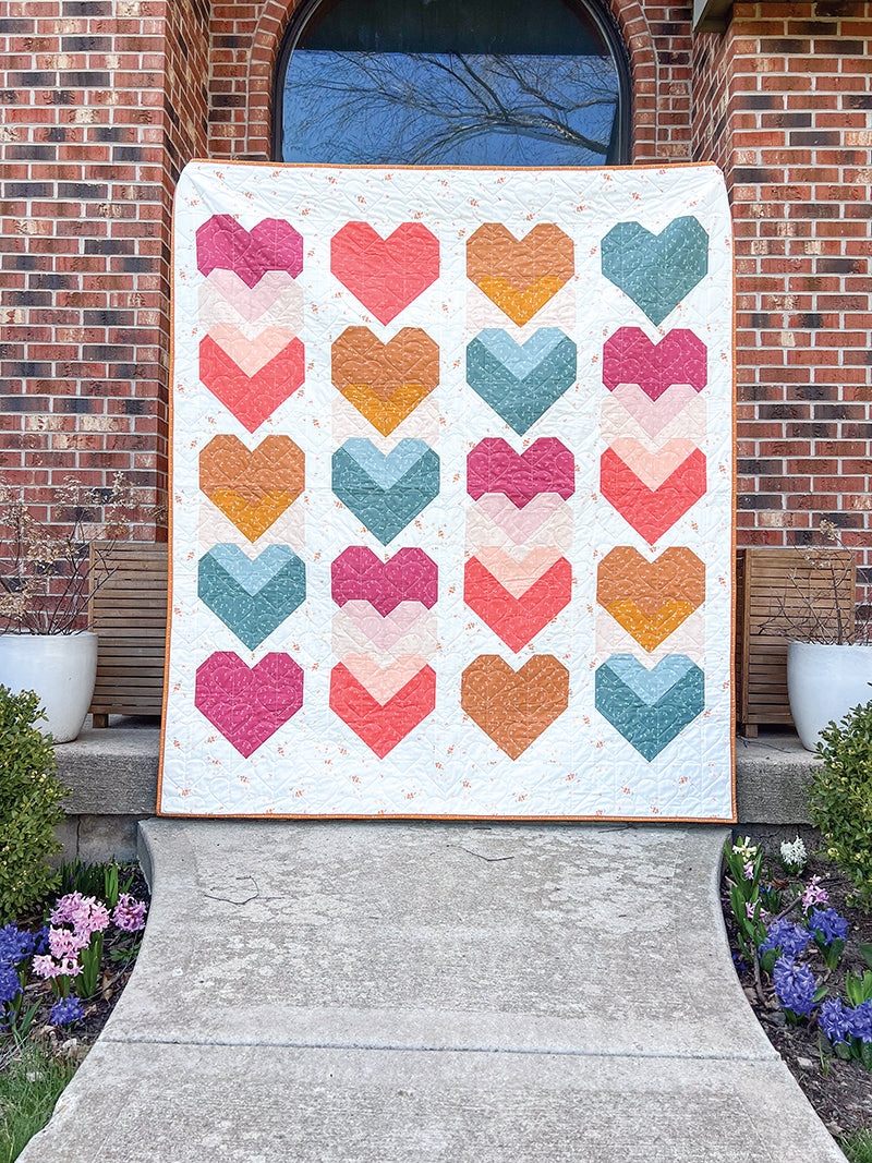 Cozy Quilts for the Modern Home Book