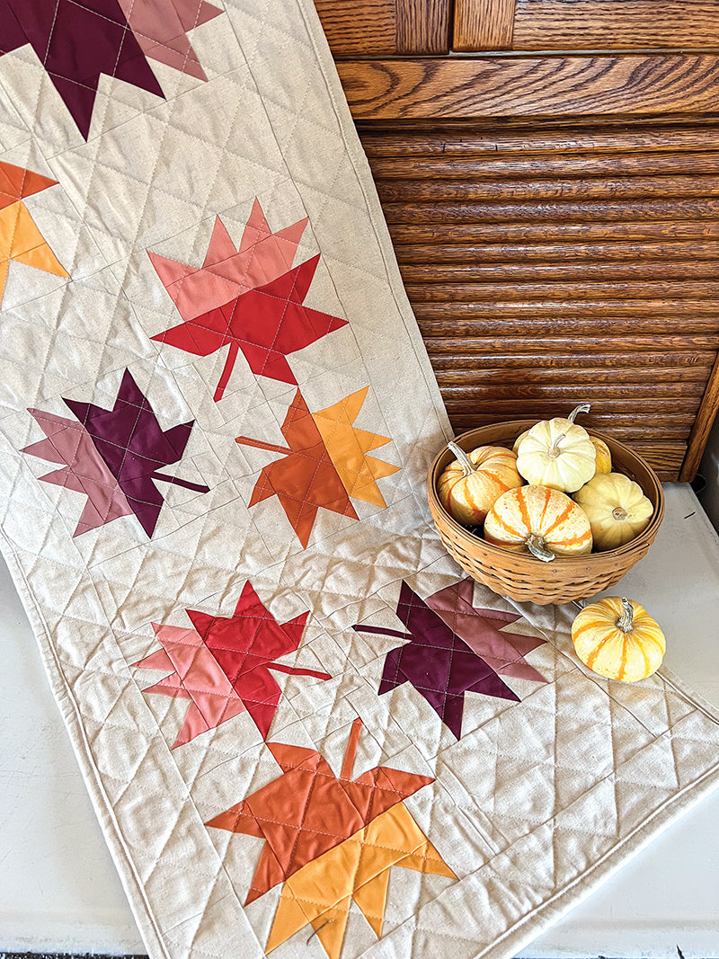 Cozy Quilts for the Modern Home Book