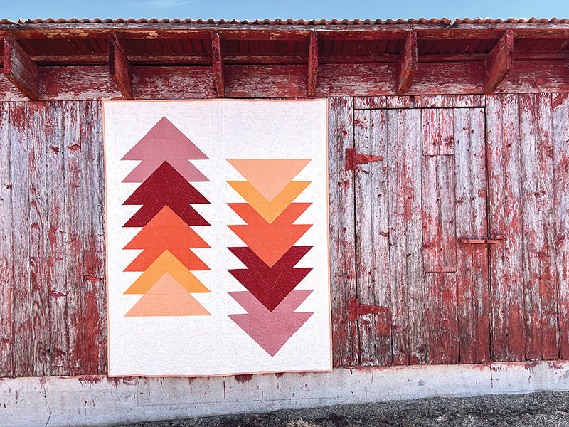 Cozy Quilts for the Modern Home Book