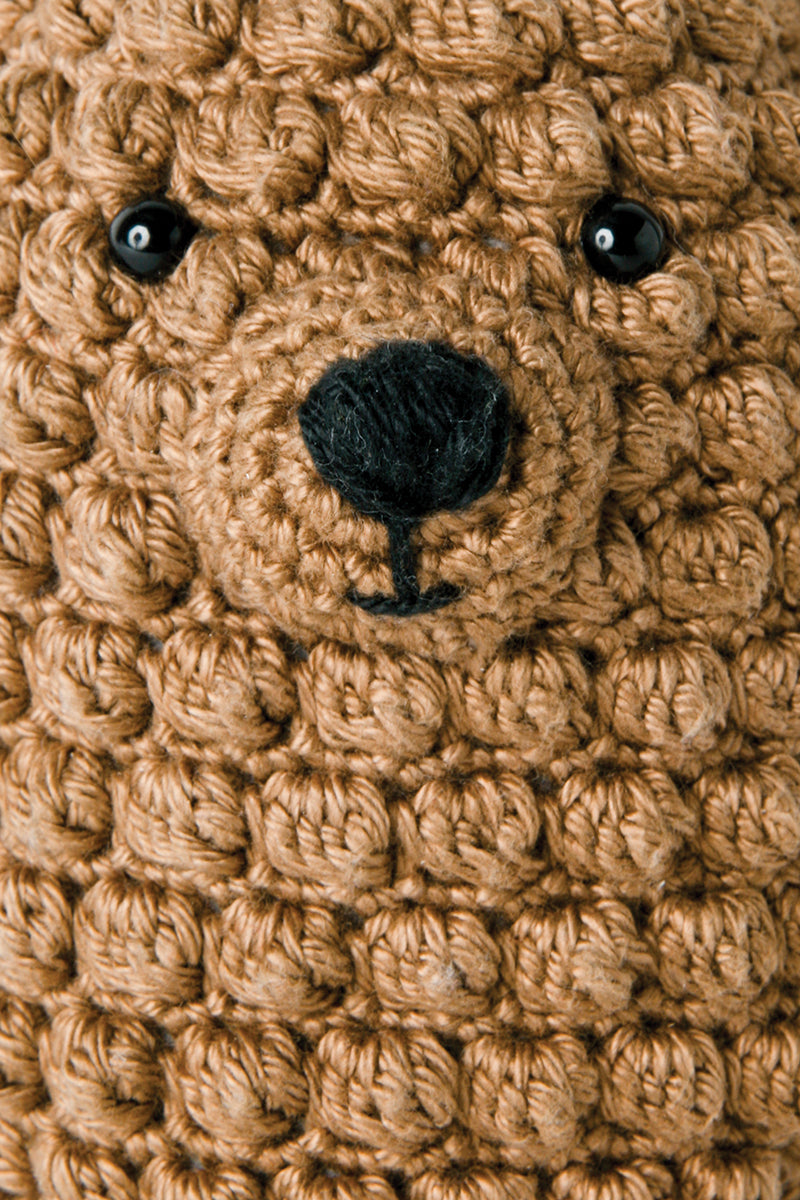 21 Days to Learn to Crochet Amigurumi Book