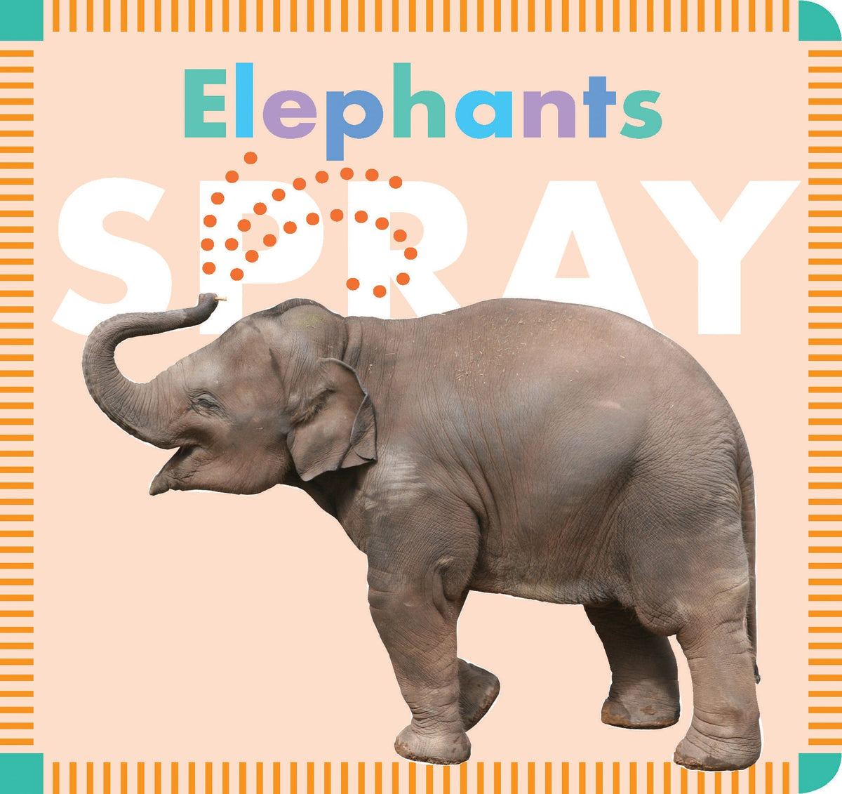 Elephants Spray Book