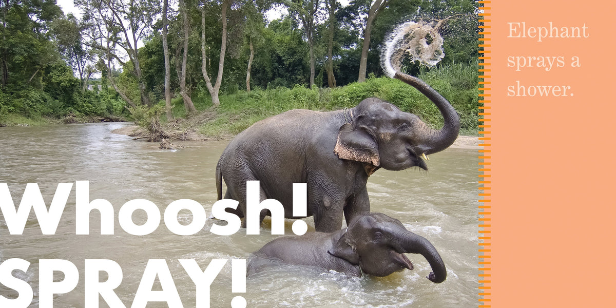 Elephants Spray Book