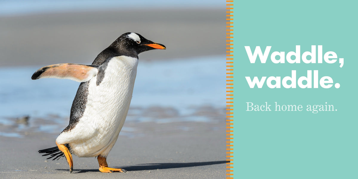 Penguins Waddle Book