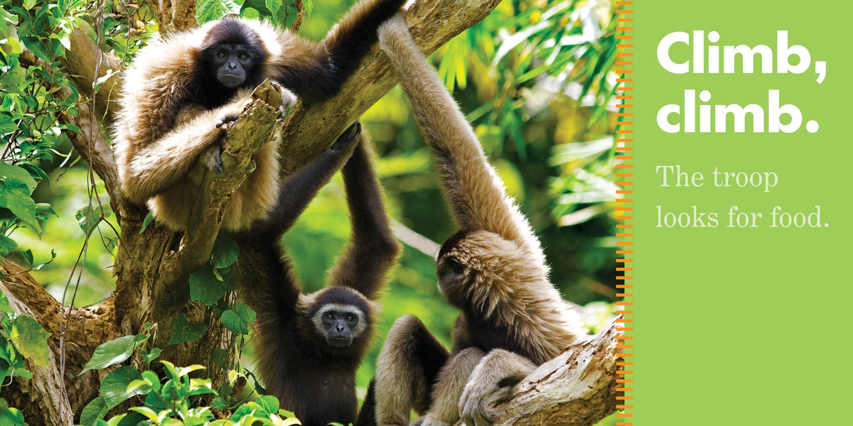 Monkeys Swing Book