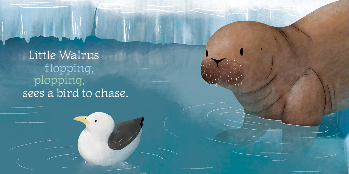 Little Walrus Book