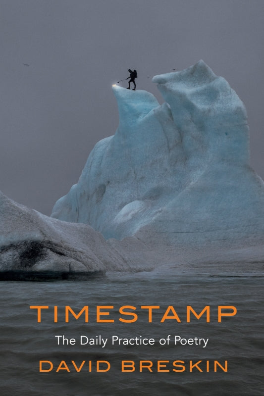 TIMESTAMP: The Daily Practice of Poetry Book