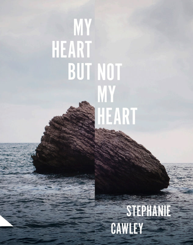 My Heart But Not My Heart Book