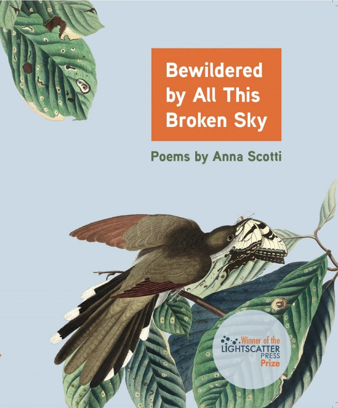 Bewildered by All This Broken Sky: Poems by Anna Scotti Book