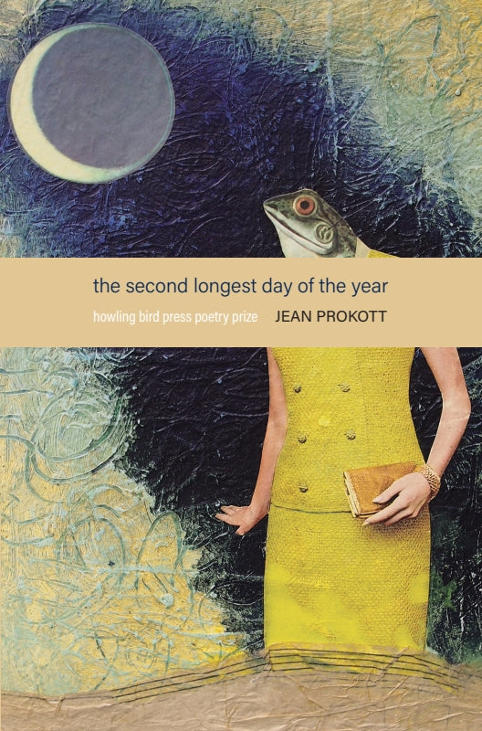 The Second Longest Day of the Year Book