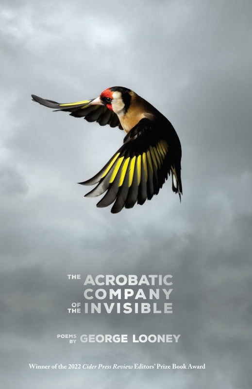 The Acrobatic Company of the Invisible Book