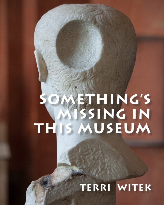 Something's Missing in this Museum Book