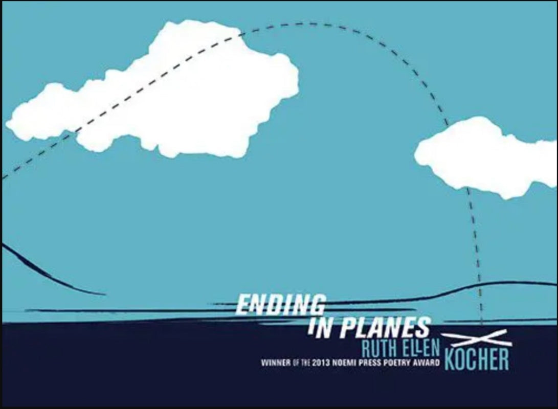 Ending in Planes Book