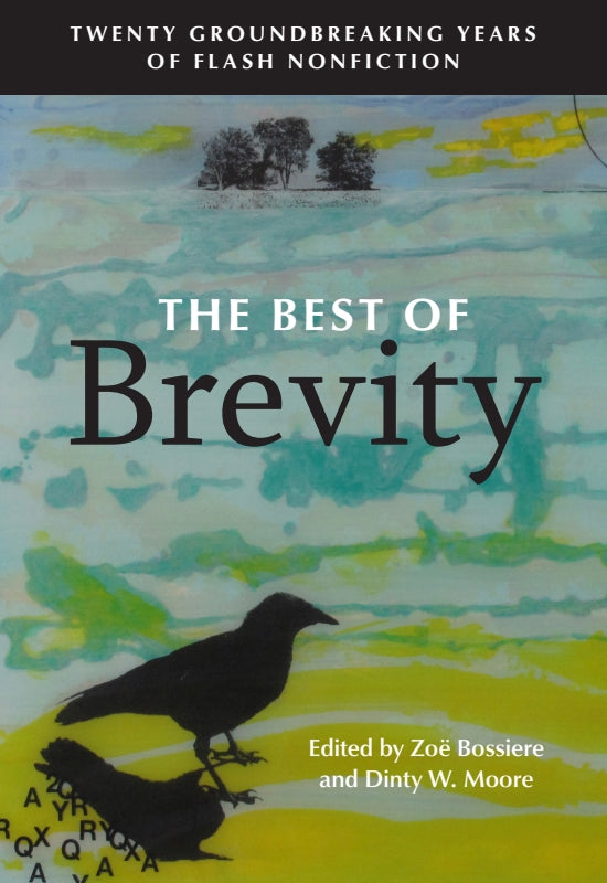 The Best of Brevity: Twenty Groundbreaking Years of Flash Nonfiction Book