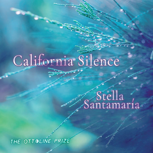 California Silence Book
