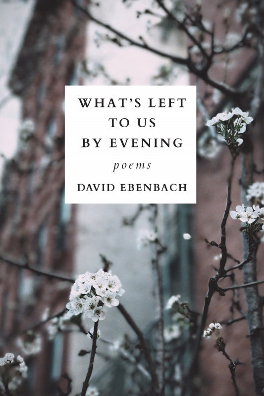 What's Left to Us by Evening Book
