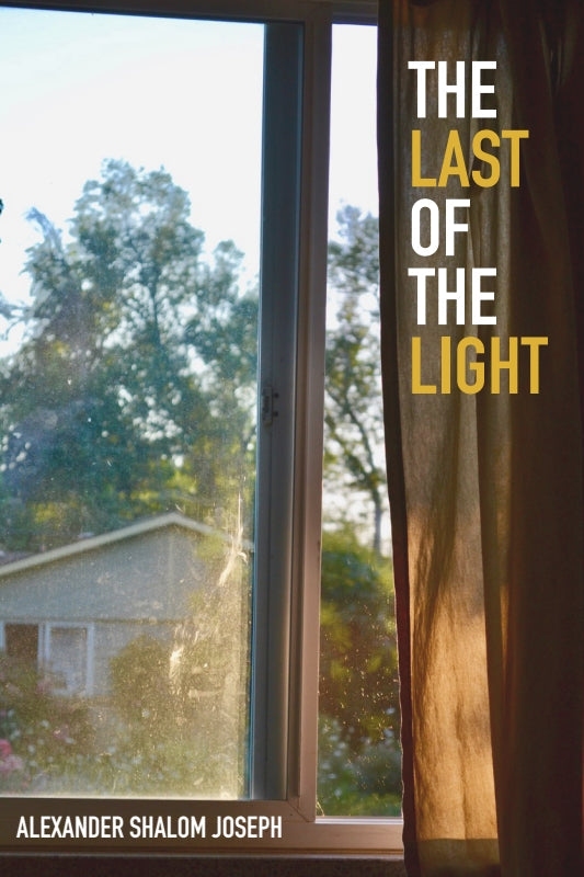 The Last of the Light Book