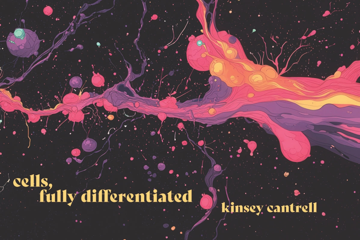 cells, fully differentiated Book