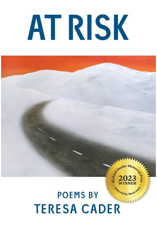 AT RISK Book