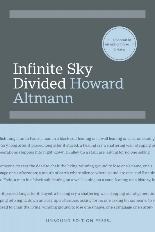 Infinite Sky Divided Book