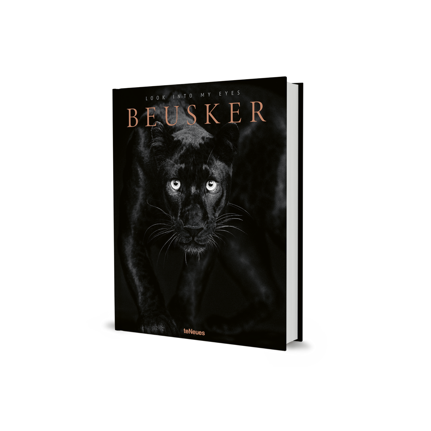 Beusker Book