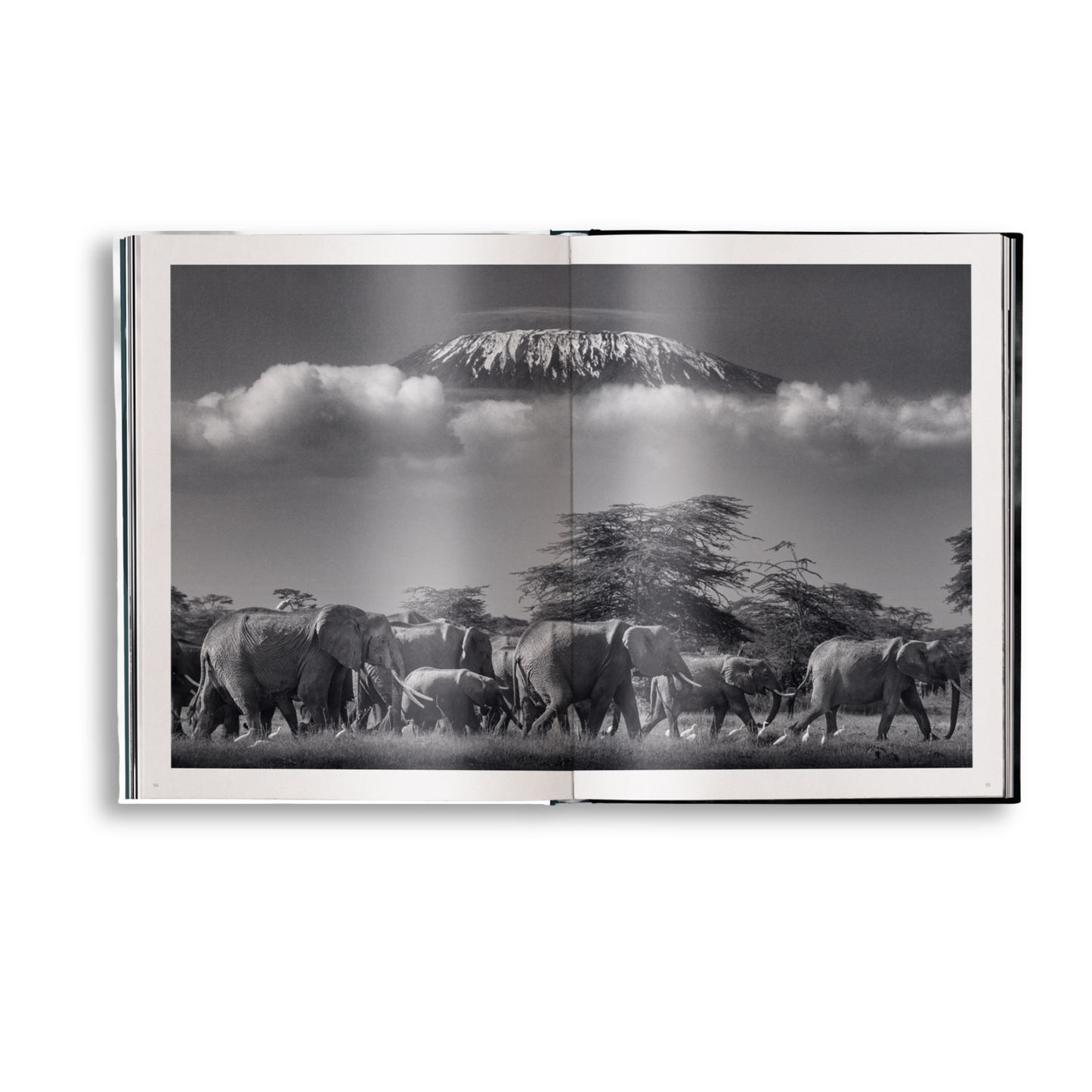 Beusker Book