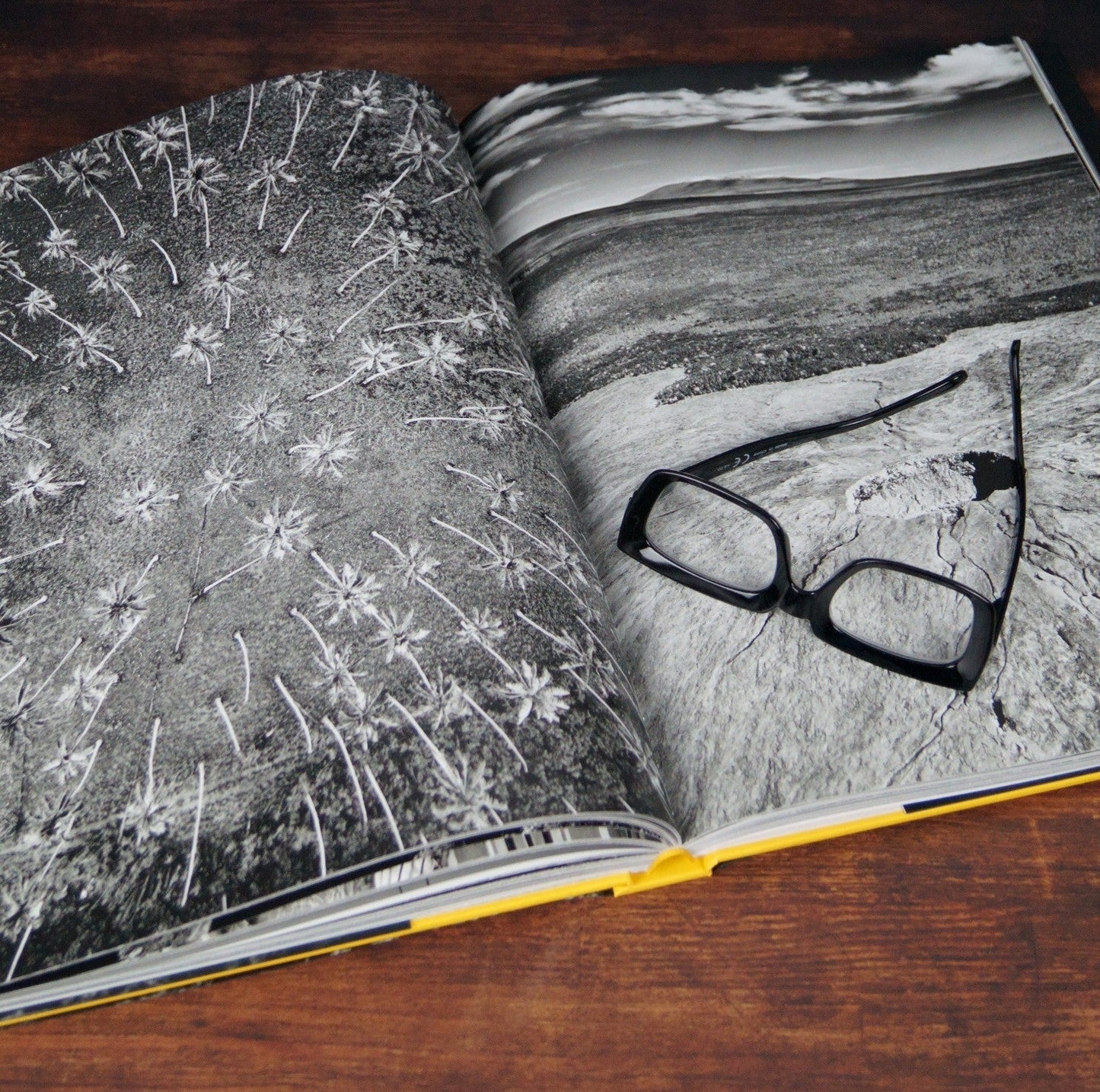 Hawaii Book