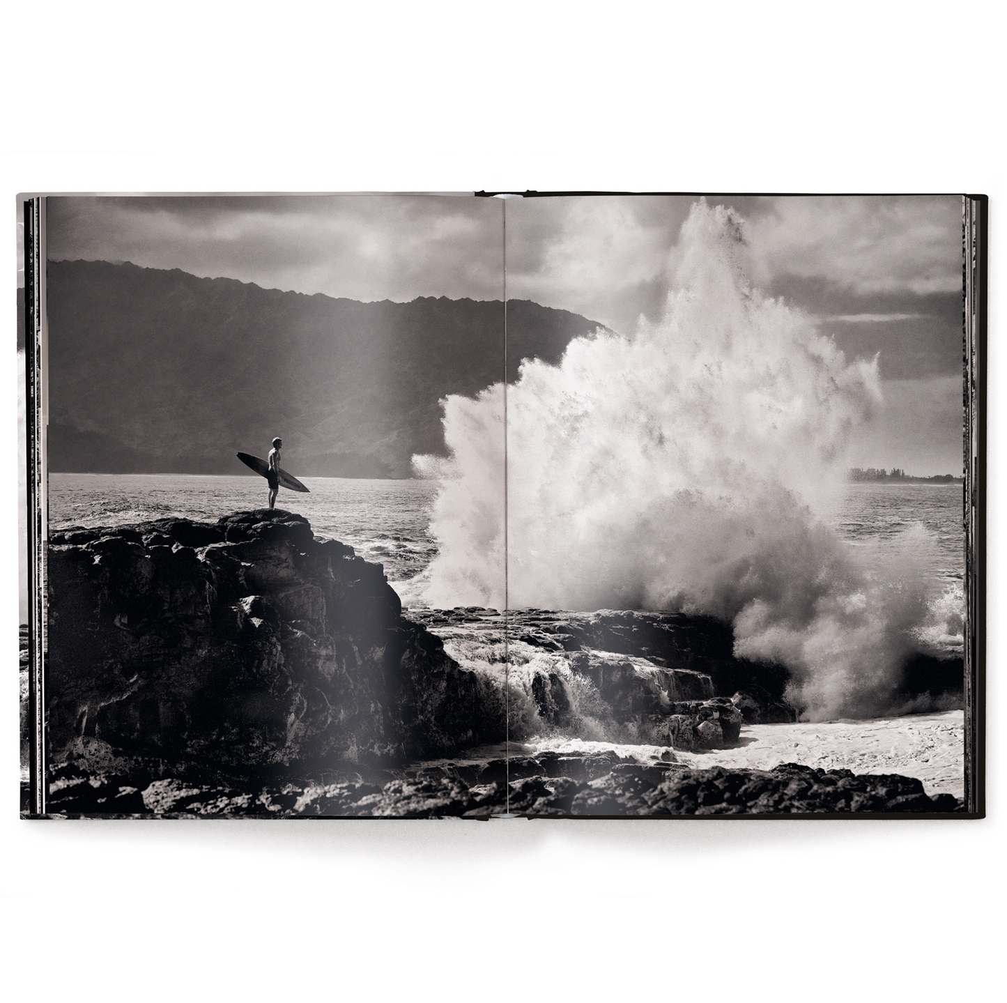 Hawaii Book