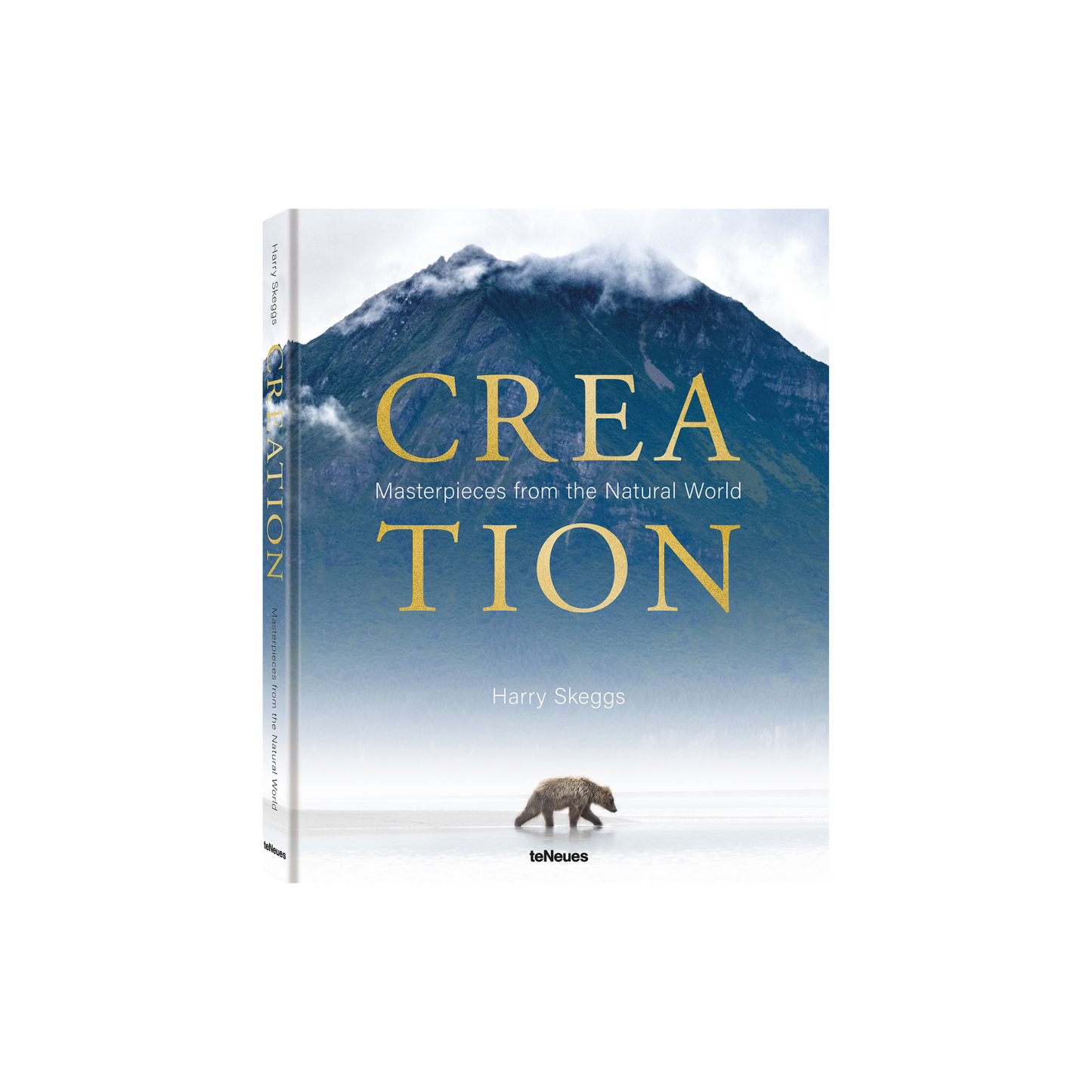 Creation Book