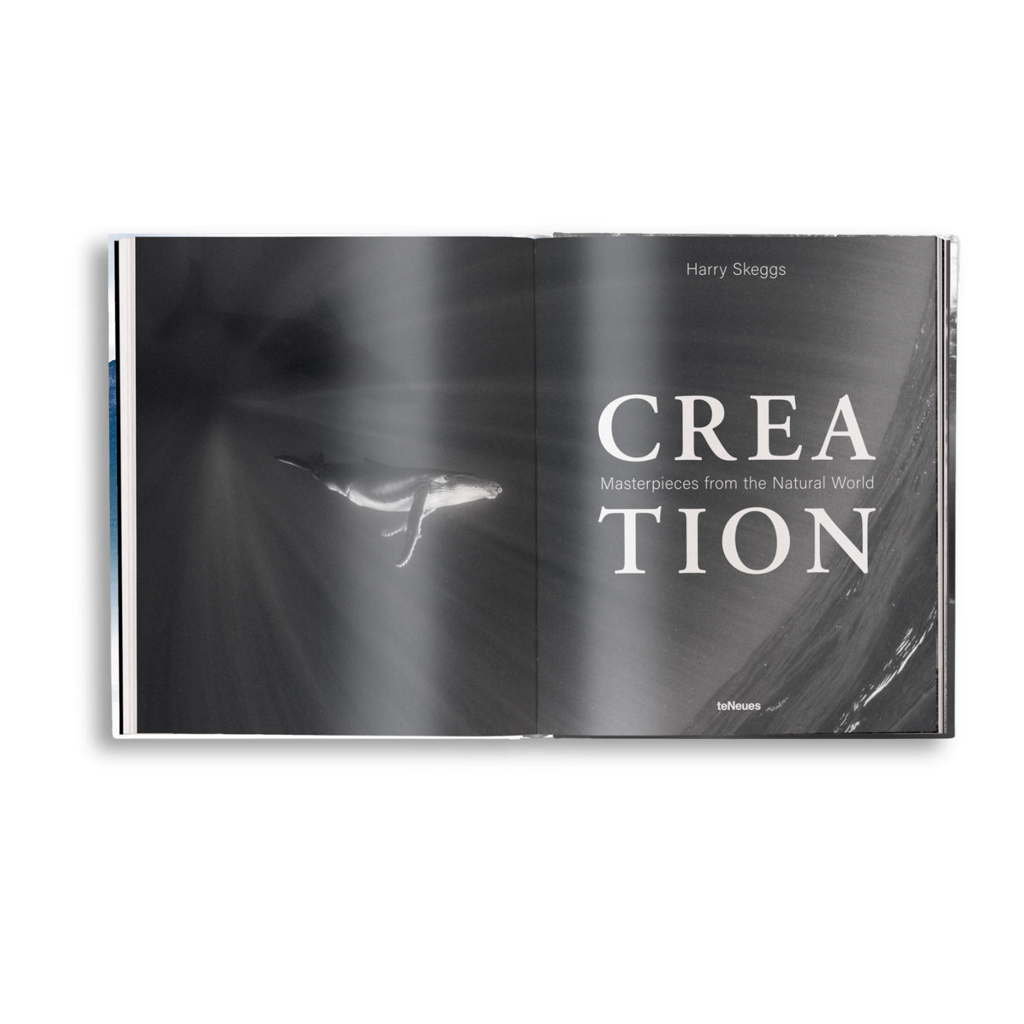 Creation Book