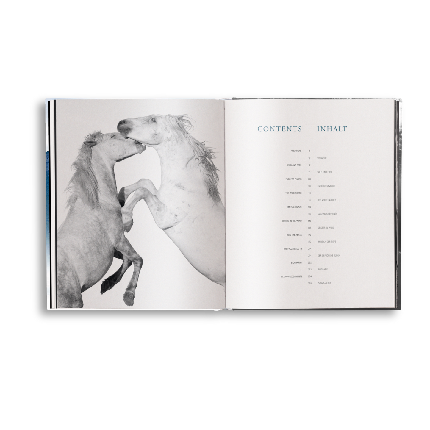 Creation Book