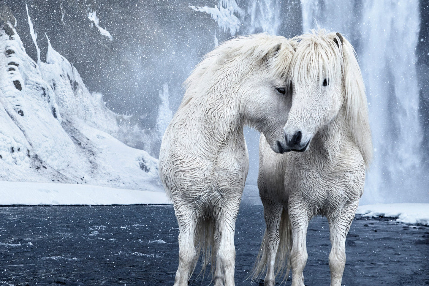 Untamed Spirits: Horses From Around the World Book