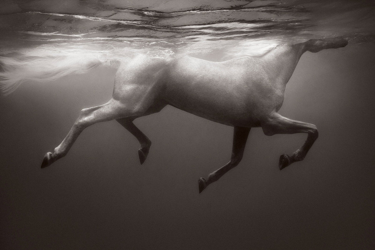 Untamed Spirits: Horses From Around the World Book