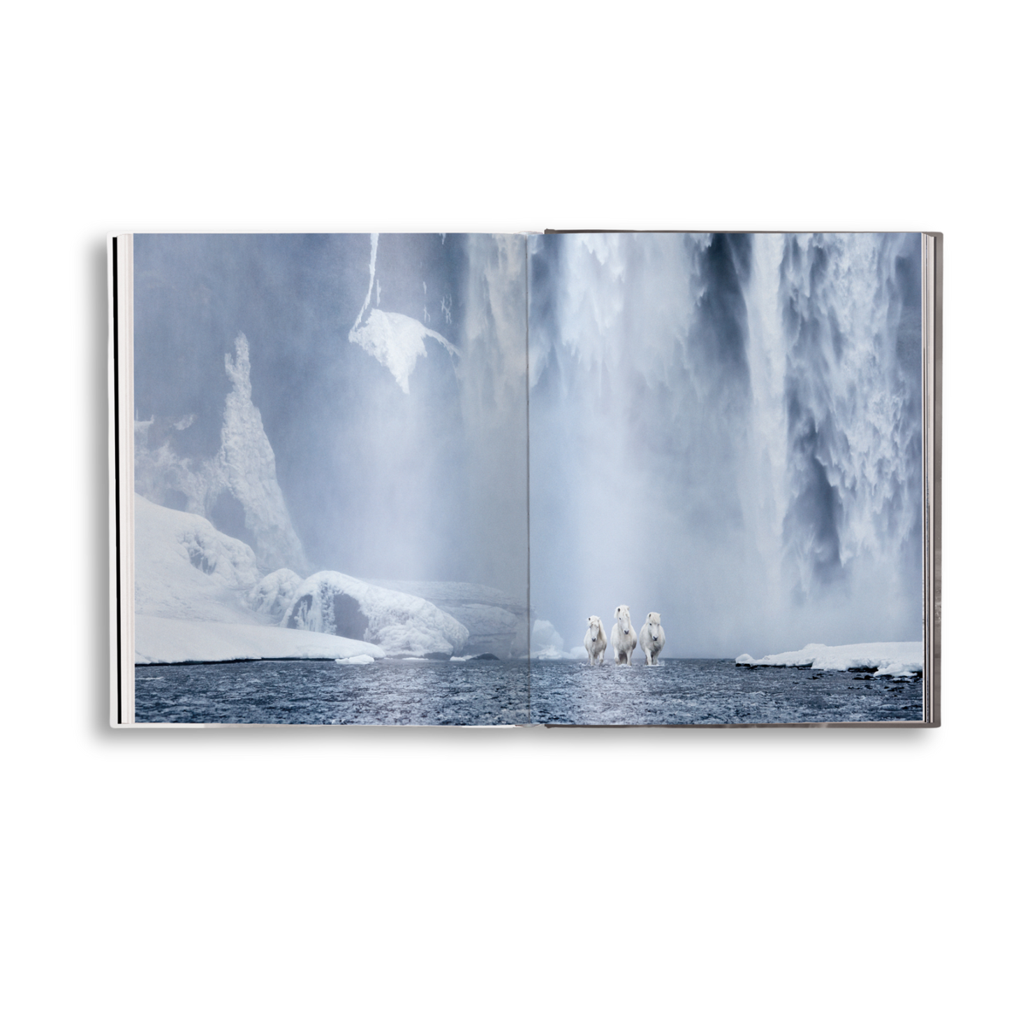 Untamed Spirits: Horses From Around the World Book