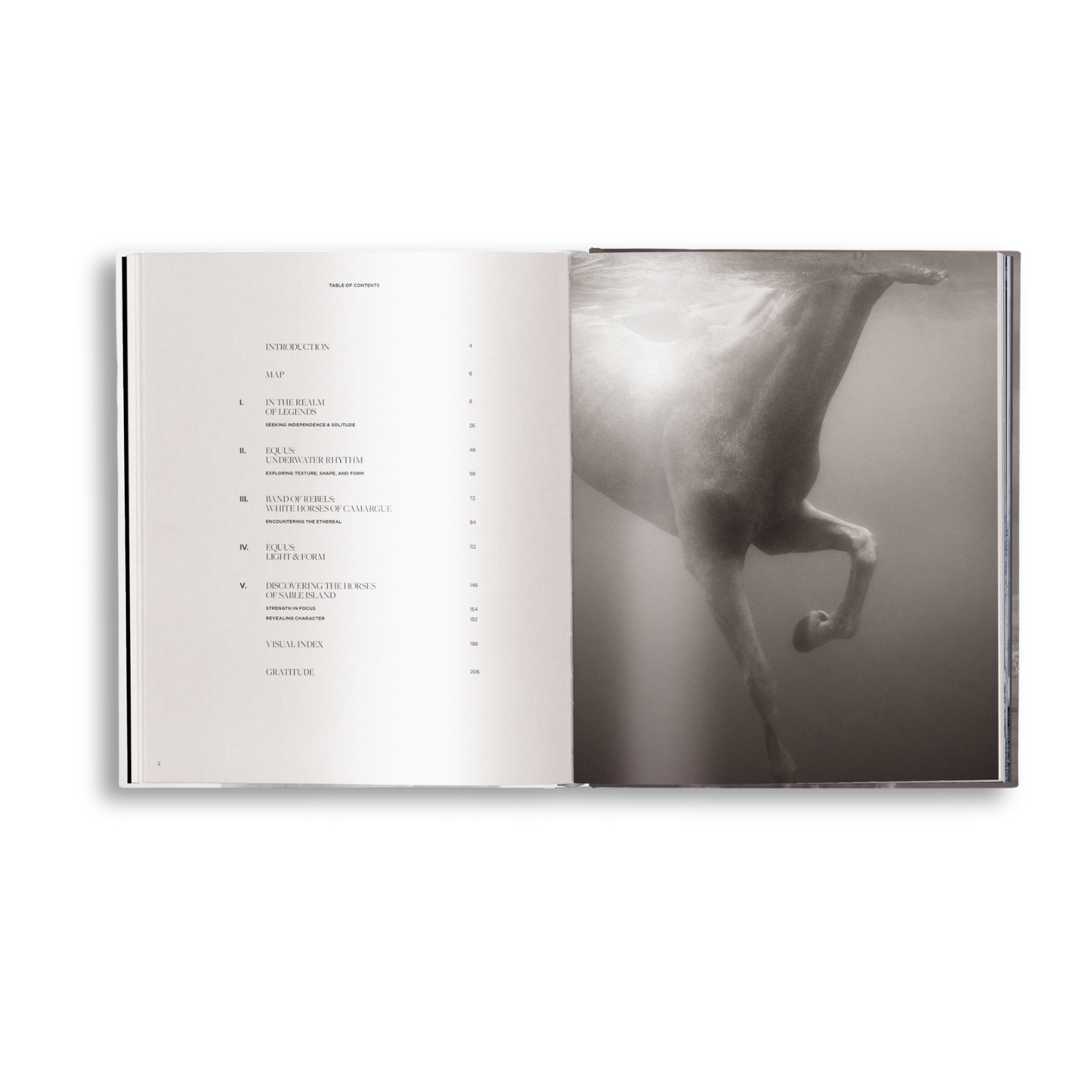 Untamed Spirits: Horses From Around the World Book