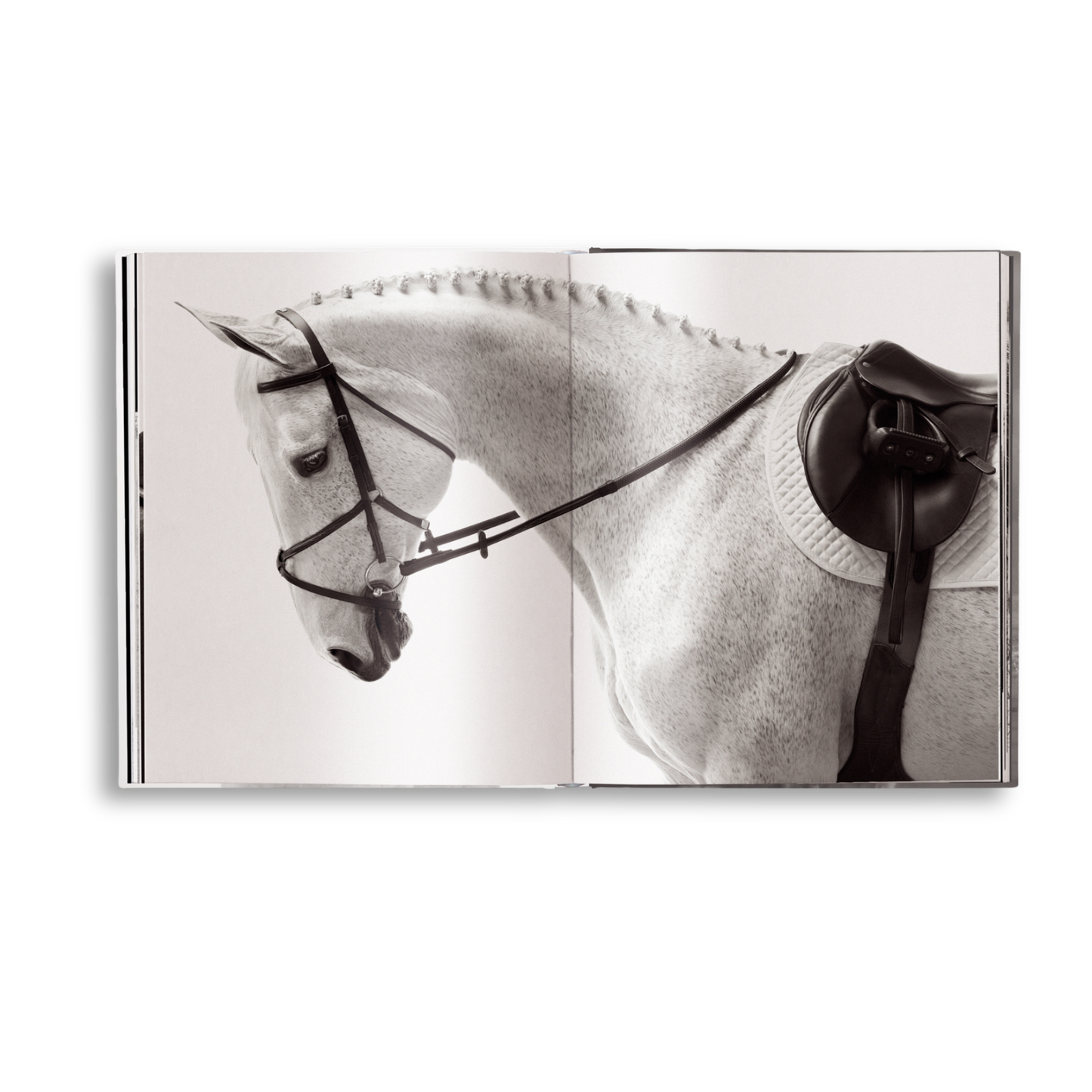 Untamed Spirits: Horses From Around the World Book