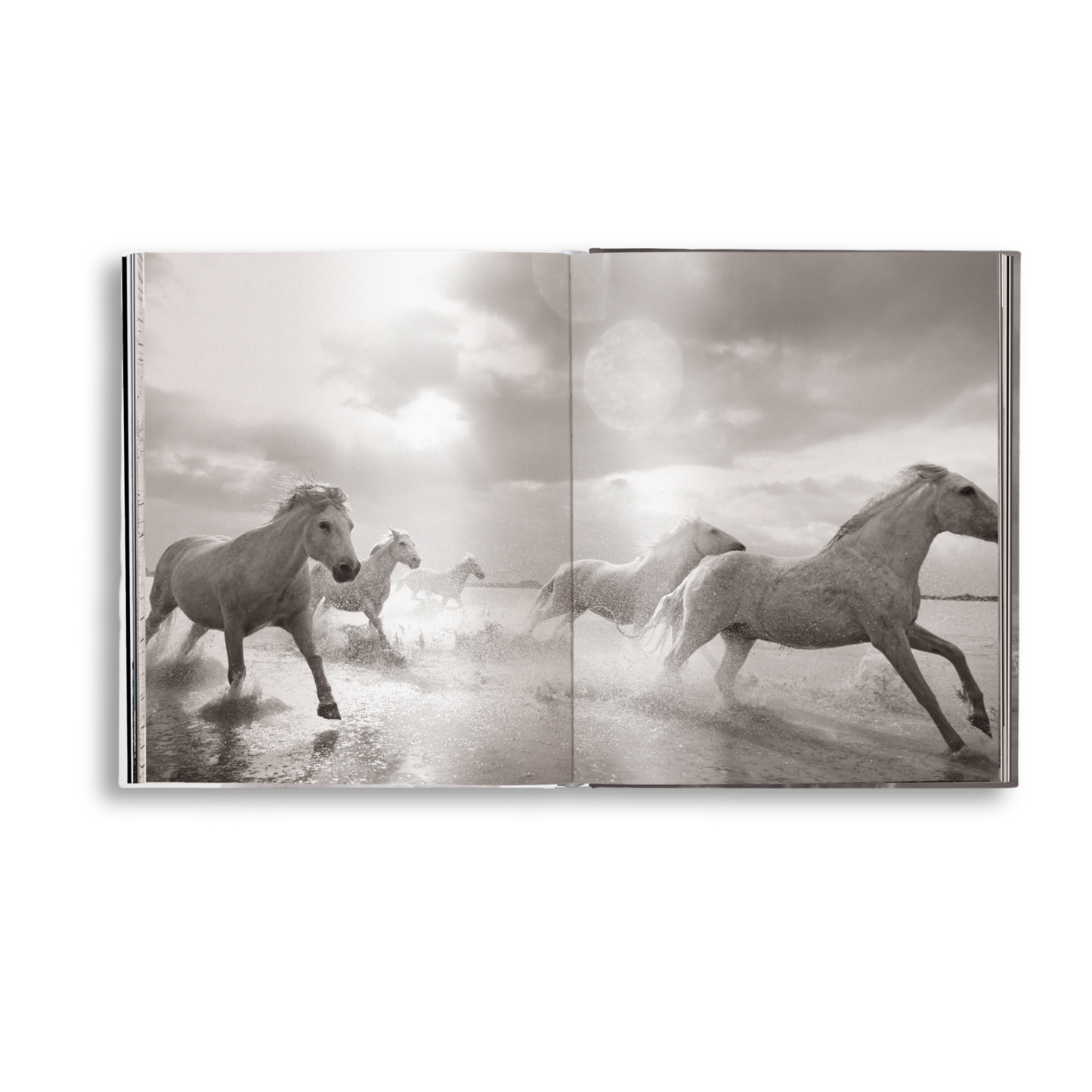 Untamed Spirits: Horses From Around the World Book