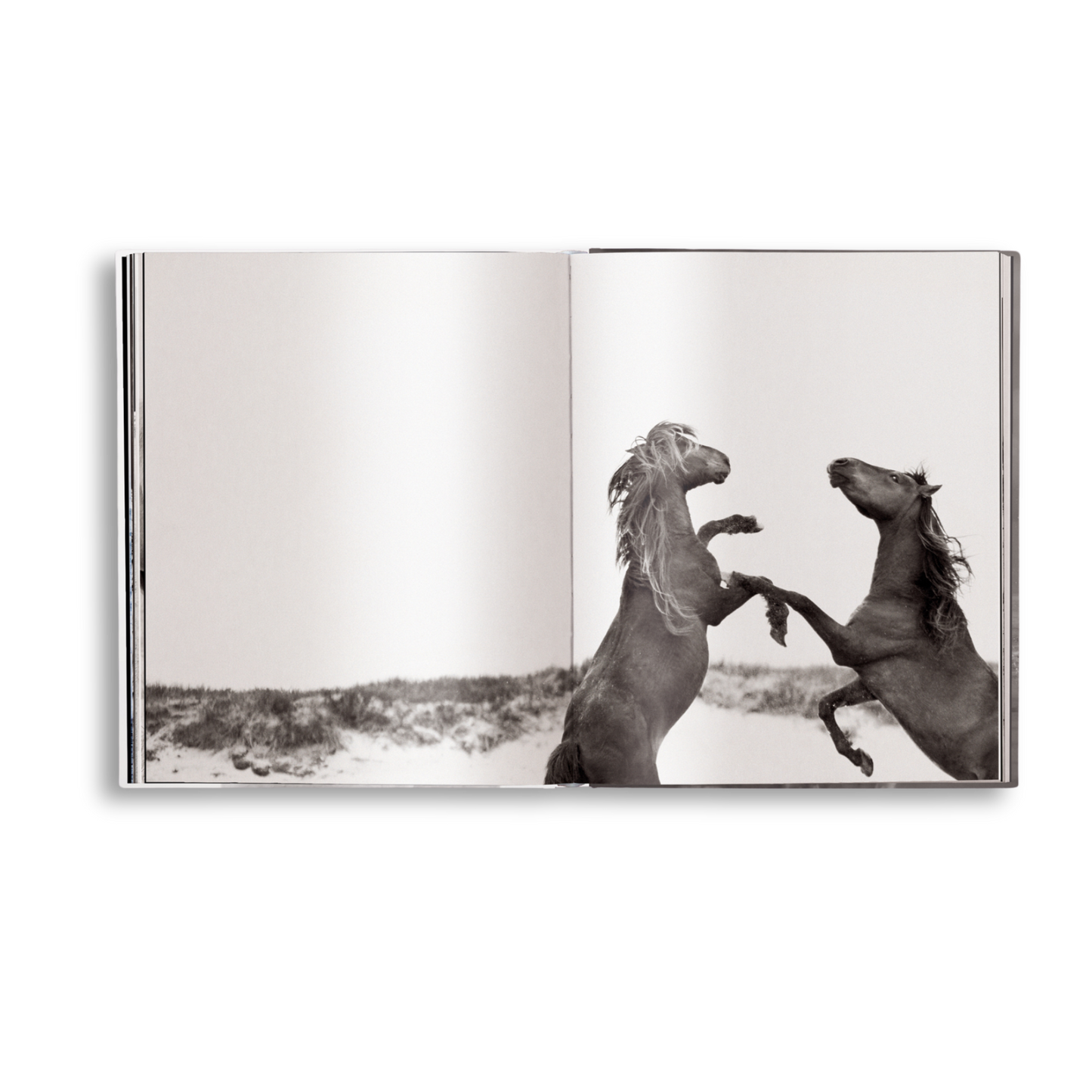 Untamed Spirits: Horses From Around the World Book