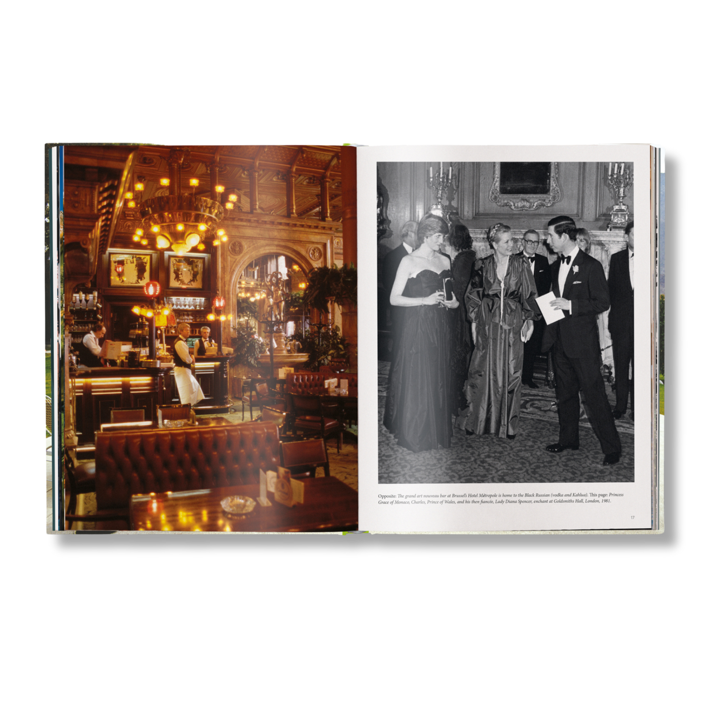 The Stylish Life: Cocktail Parties Book
