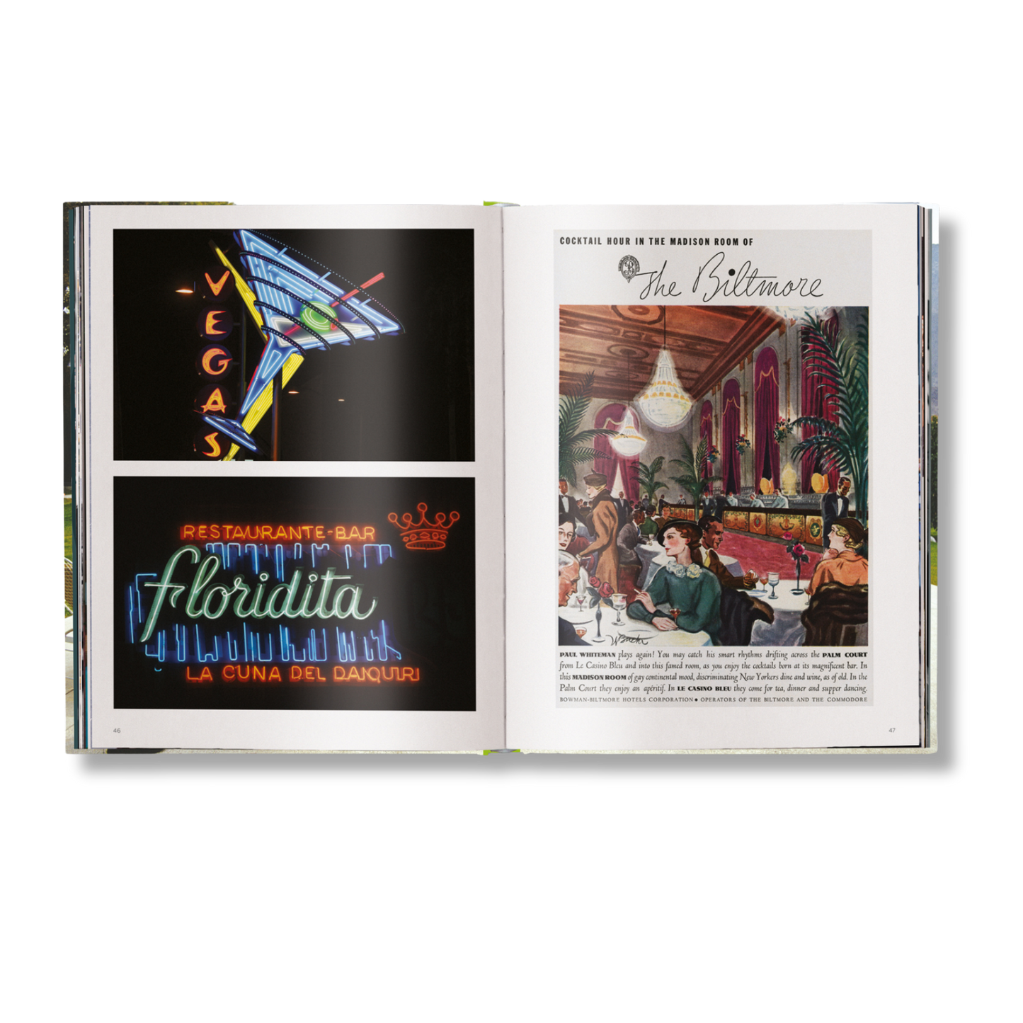 The Stylish Life: Cocktail Parties Book