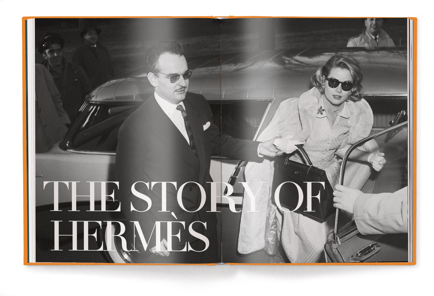 The Ultimate Guide to Hermès Bags Book