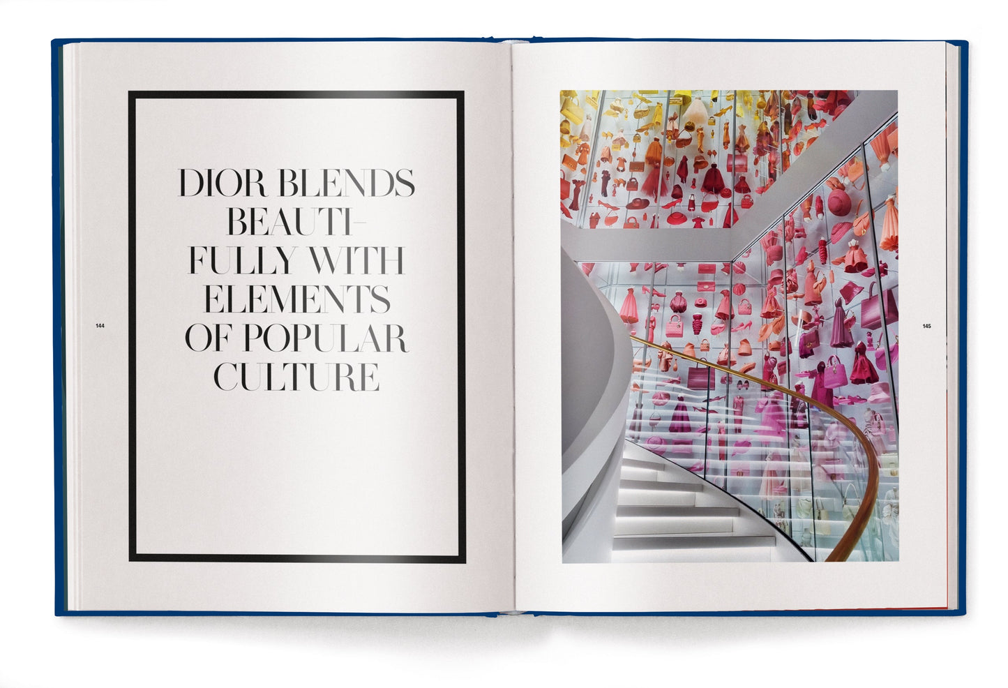 The Ultimate Guide to Dior Bags Book