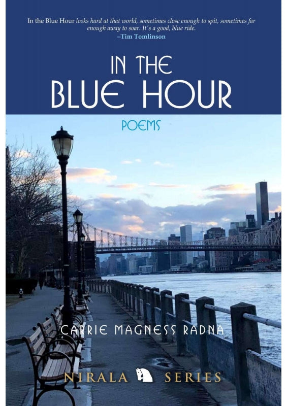 In the Blue Hour: Poems Book