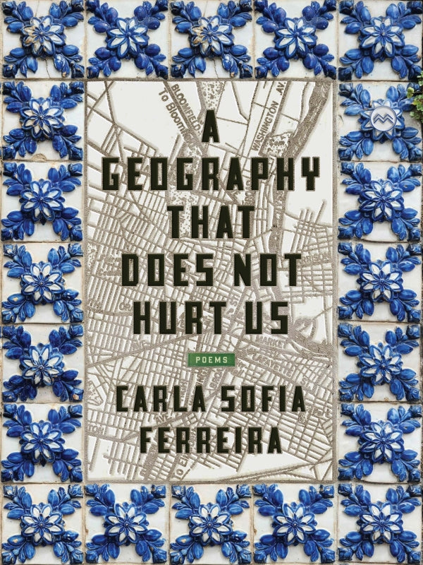 A Geography That Does Not Hurt Us Book