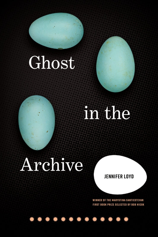 Ghost in the Archive Book