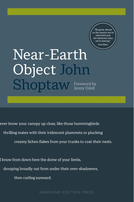 Near-Earth Object Book