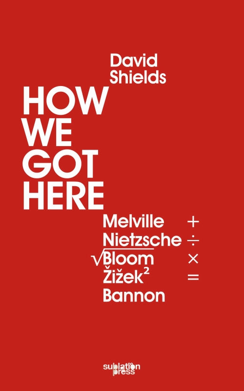 How We Got Here: Melville Plus Nietzsche Divided by the Square Root of (Allan) Bloom Times Žižek (Squared) Equals Bannon Book