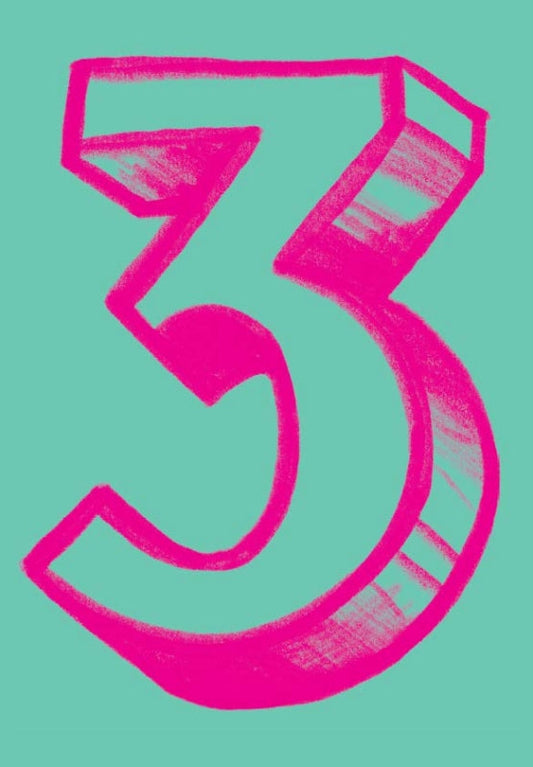 3 by Sara Lippmann Book