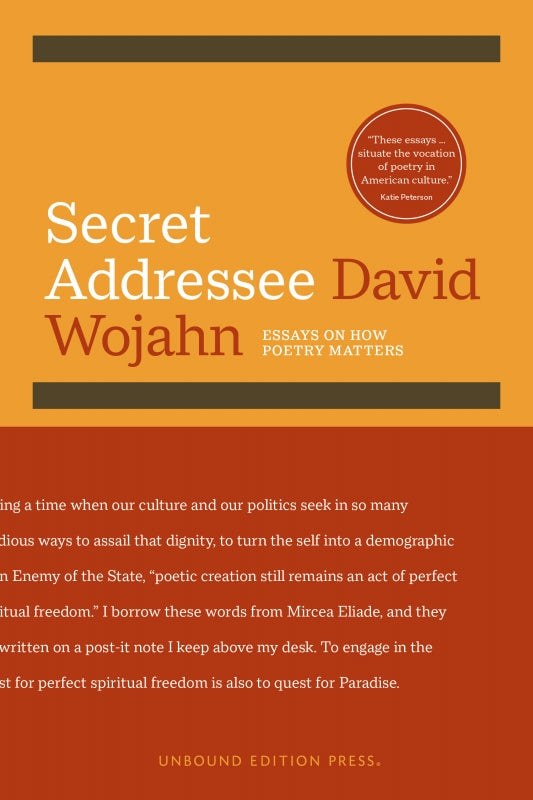 Secret Addressee: Essays on How Poetry Matters Book