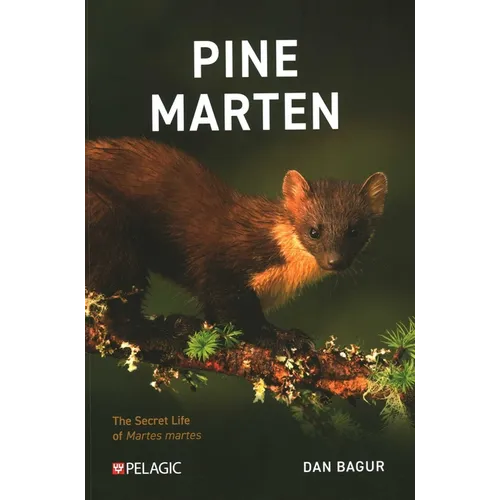 Pine Marten: The Secret Life of Martes Martes